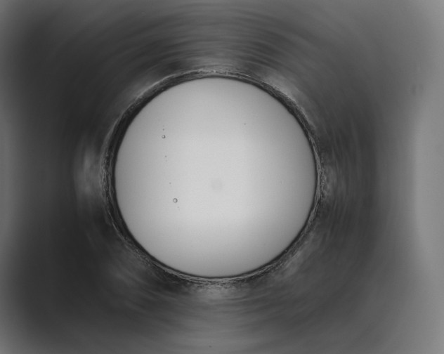 X0000089401074200706291403