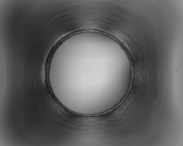 X0000089401076200706291403