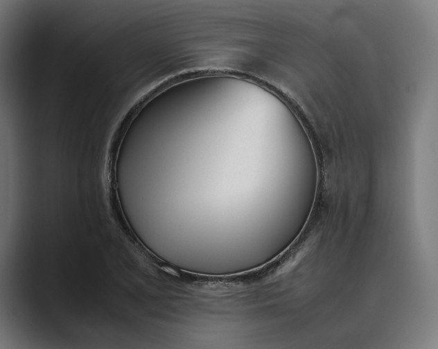 X0000089401077200706291403