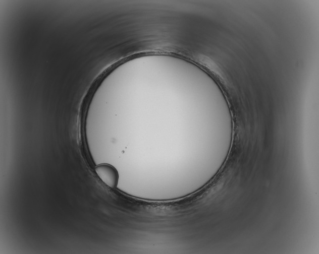 X0000089401079200706291403