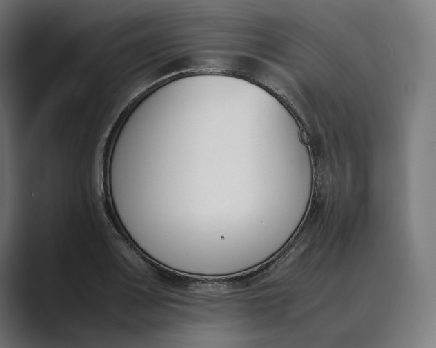 X0000089401083200706291403