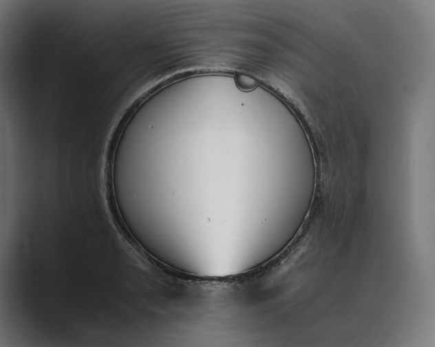 X0000089401085200706291403