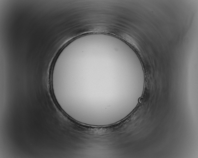 X0000089401087200706291403