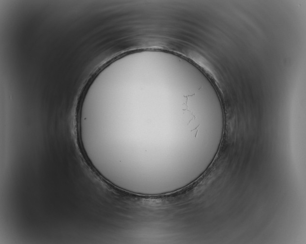 X0000089401088200706291403