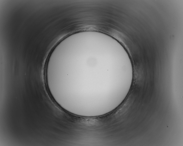 X0000089401090200706291403