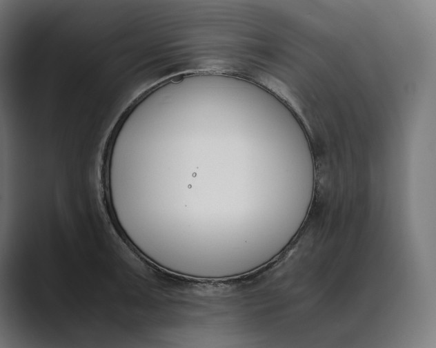 X0000089401091200706291403