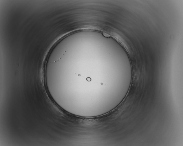 X0000089401092200706291403