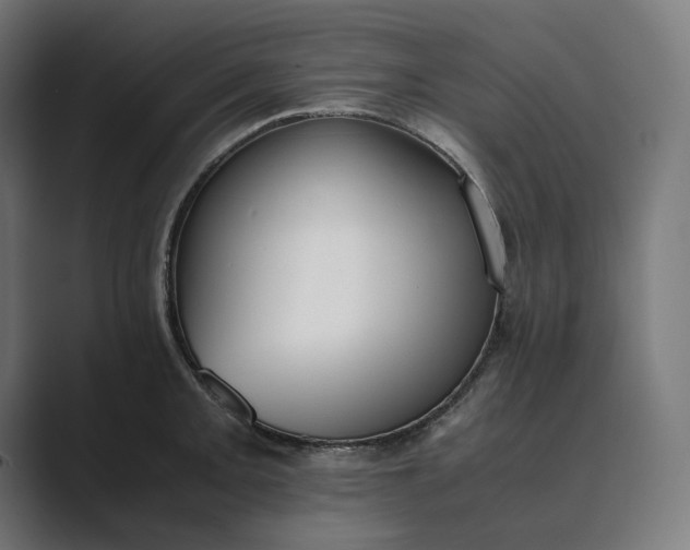 X0000089401093200706291403