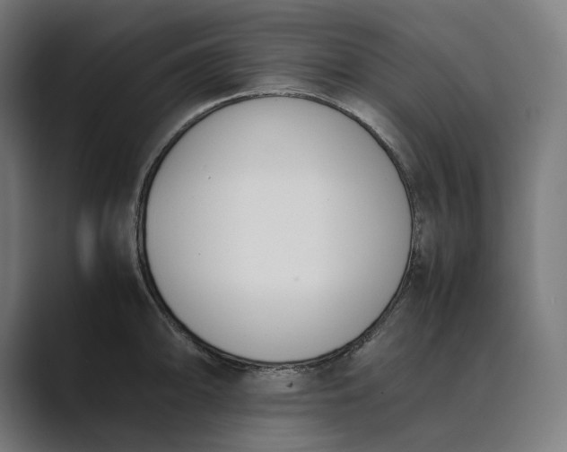 X0000089401094200706291403