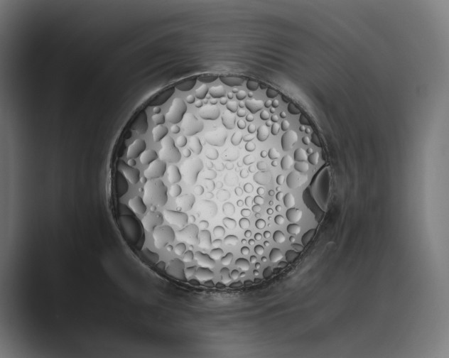 X0000089401095200706291403