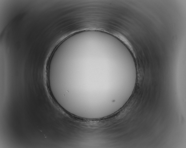 X0000089401096200706291403