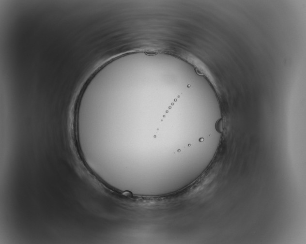 X0000089401099200706291403