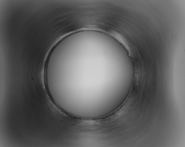 X0000089401100200706291403