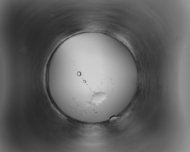 X0000089401103200706291403