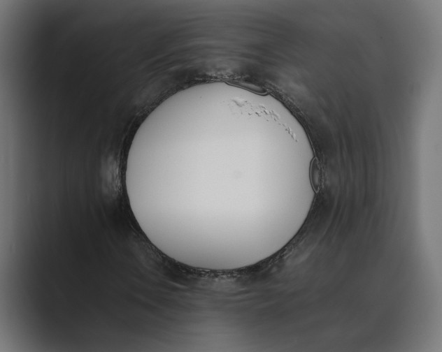 X0000089401106200706291402