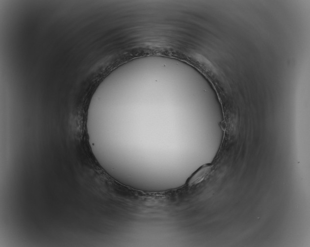 X0000089401110200706291402