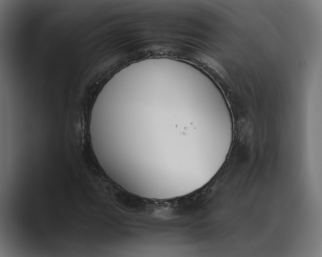 X0000089401111200706291402