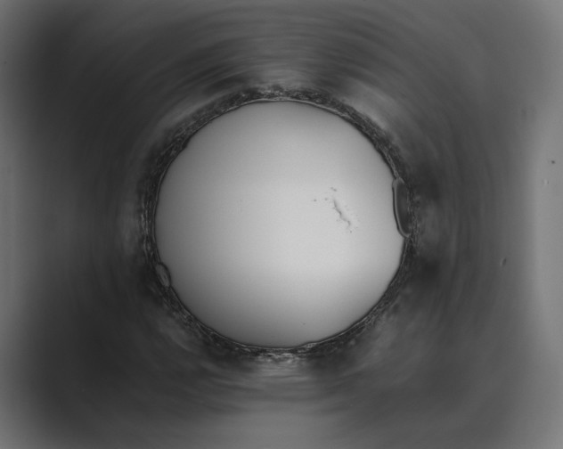 X0000089401112200706291402