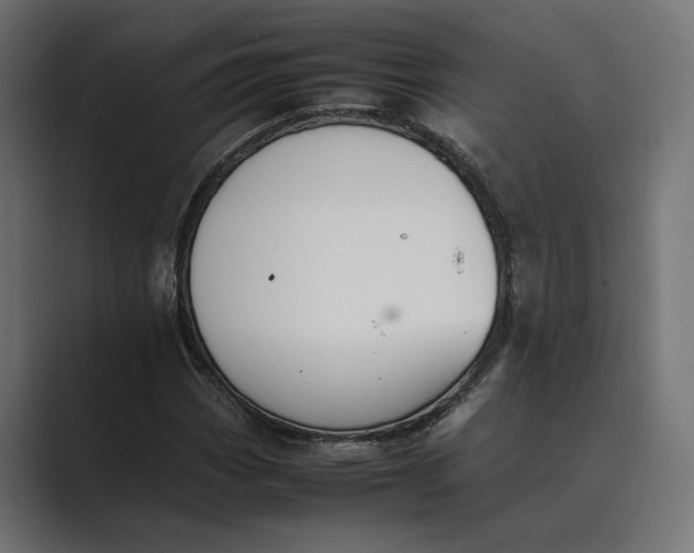 X0000089401113200706291402