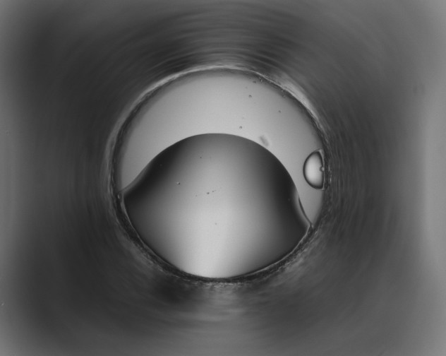 X0000089401116200706291402