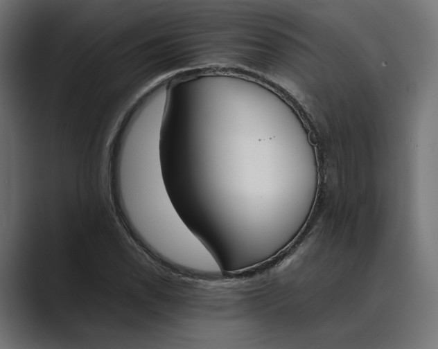 X0000089401118200706291402