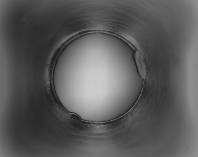 X0000089401120200706291402