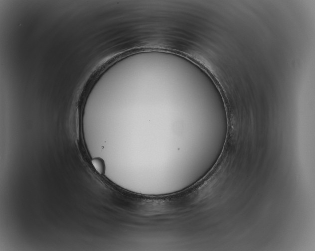 X0000089401123200706291402