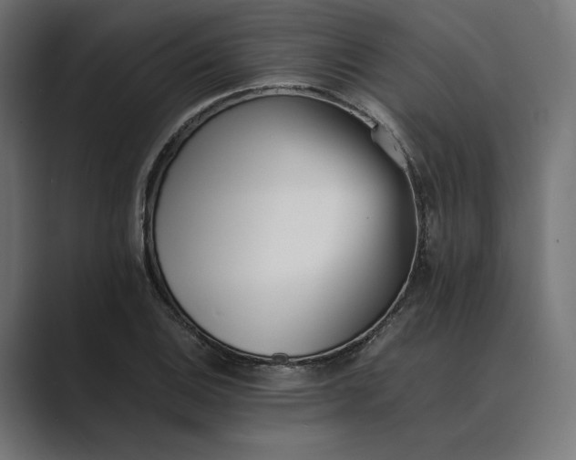 X0000089401124200706291402