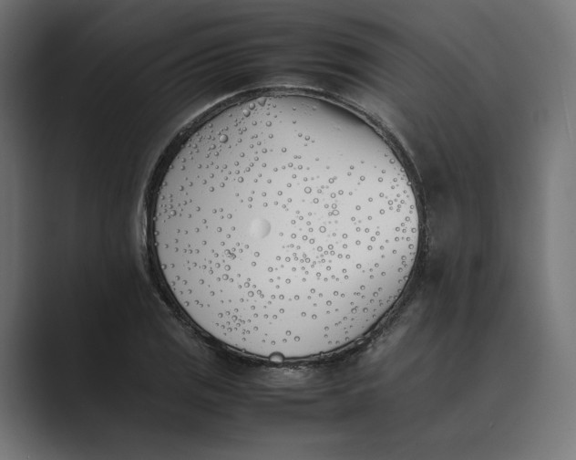 X0000089401125200706291402