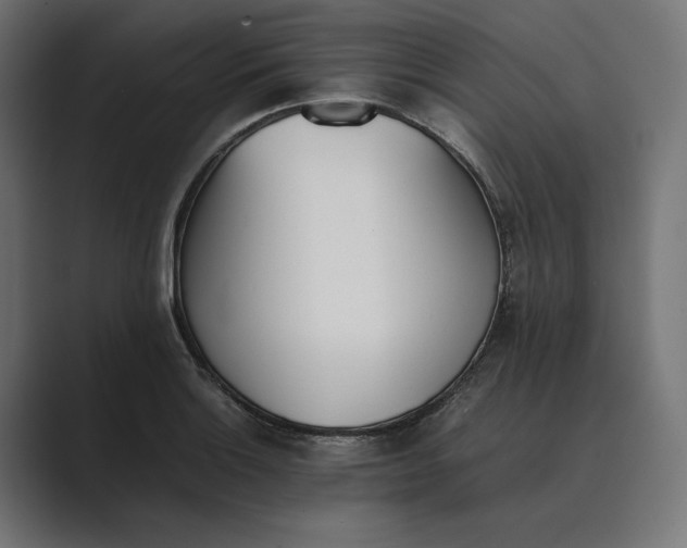 X0000089401132200706291402