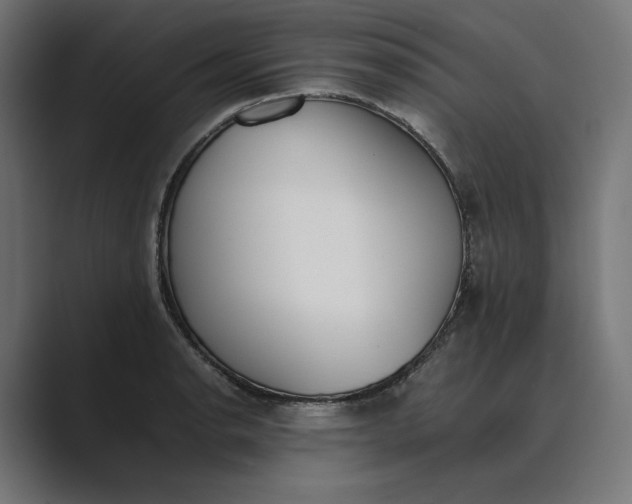 X0000089401134200706291402