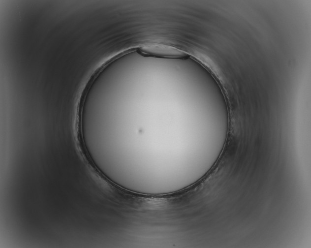 X0000089401136200706291402