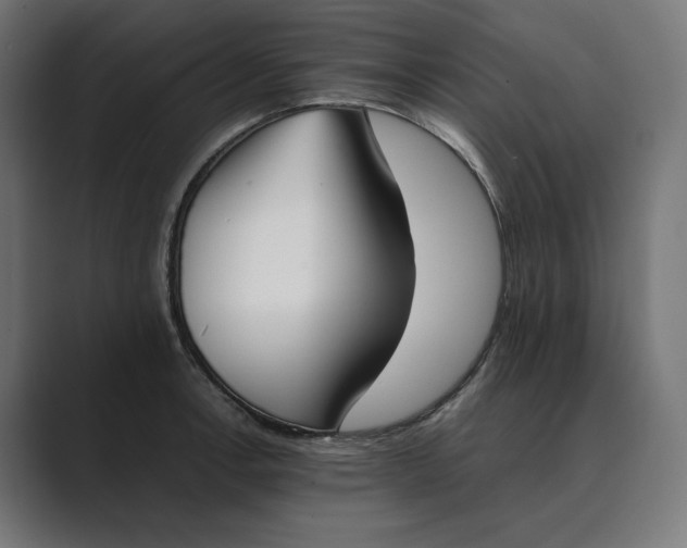 X0000089401138200706291402