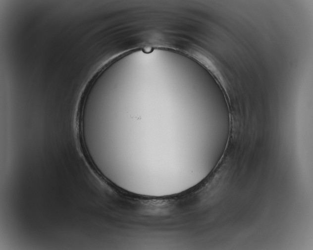 X0000089401141200706291402