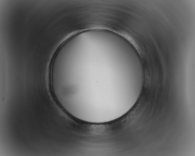 X0000089401142200706291402