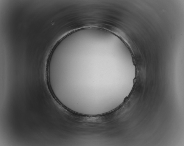 X0000089401143200706291402