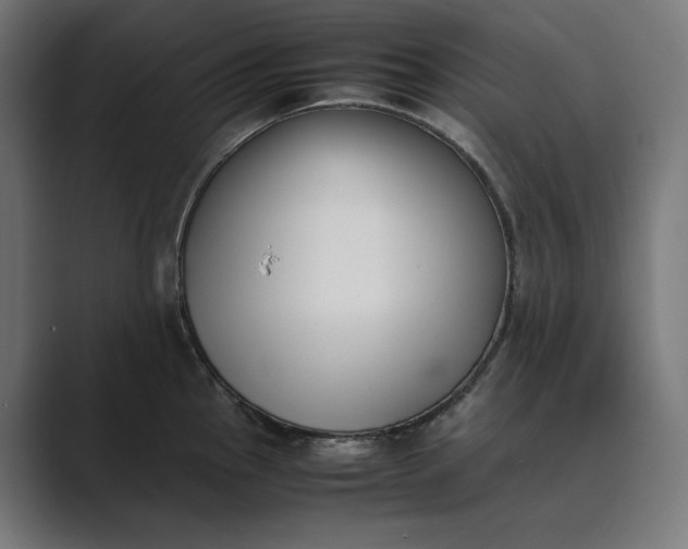 X0000089401145200706291402