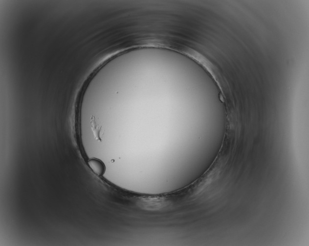 X0000089401147200706291402