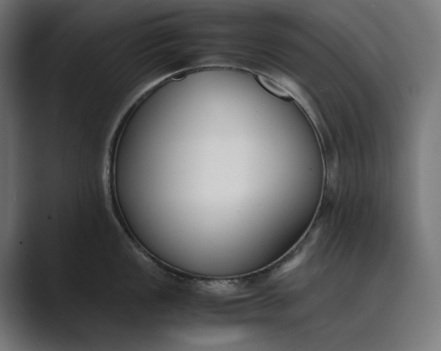 X0000089401149200706291402