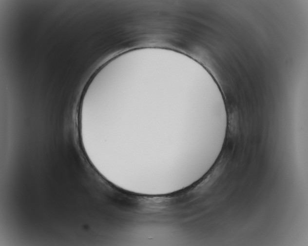 X0000089401150200706291402