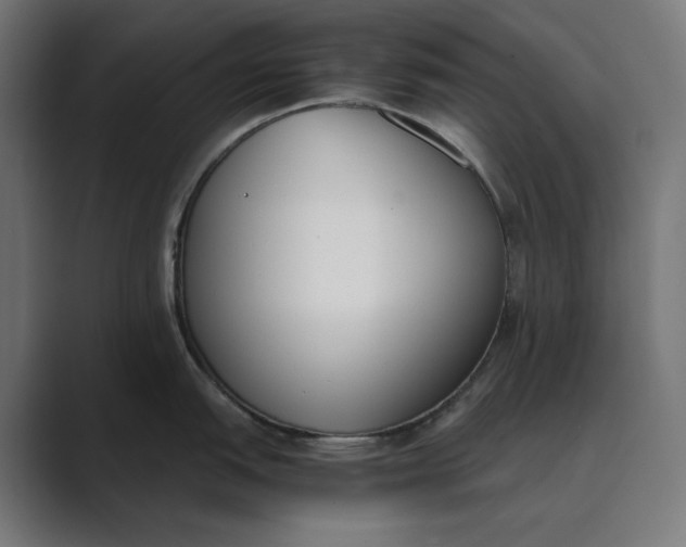 X0000089401151200706291402