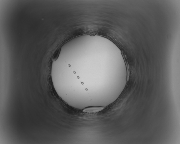 X0000089401153200706291402