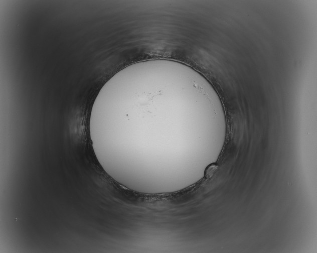 X0000089401154200706291402