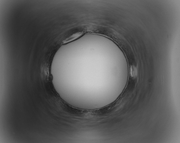 X0000089401155200706291402