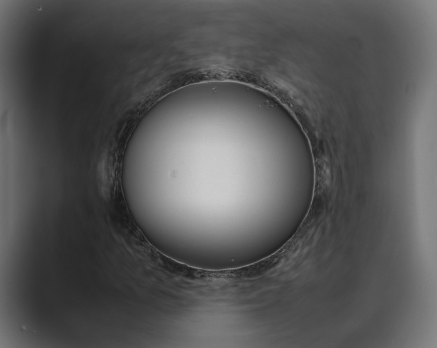 X0000089401157200706291402