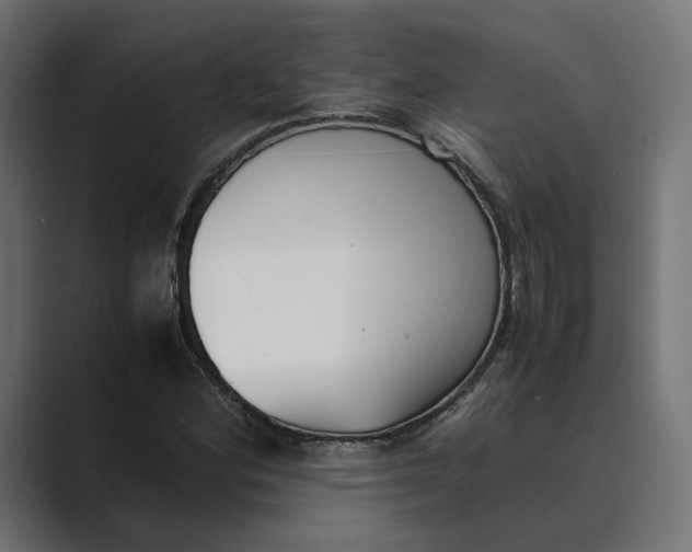 X0000089401164200706291402