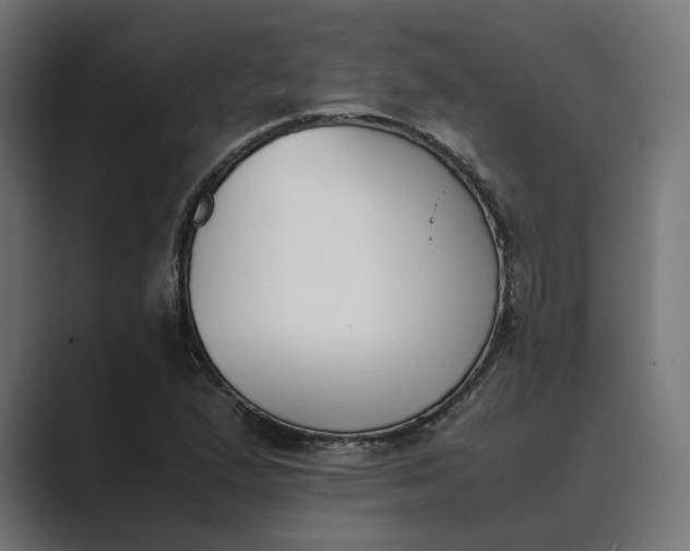 X0000089401167200706291402