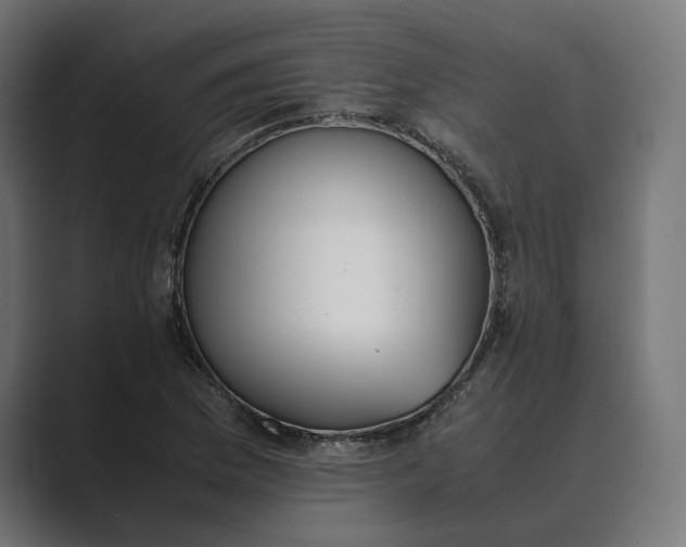 X0000089401169200706291402