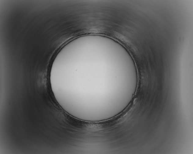 X0000089401170200706291402