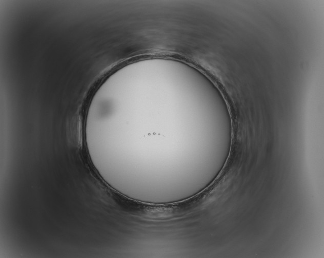 X0000089401171200706291402